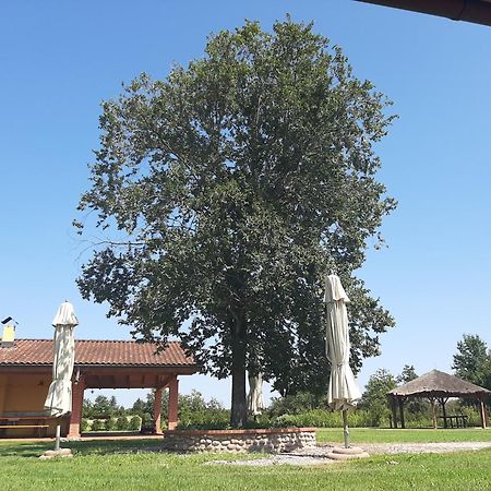 Corte All'Olmo Verona Exterior photo